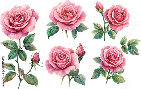 Obraz seamless pattern with roses