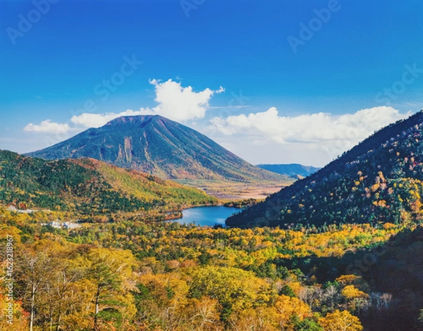 Obraz 秋の男体山と湯の湖　ダケカンバとカラマツの黄葉