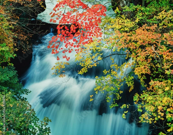 Obraz 竜頭の滝すぐ下流の湯川の紅葉