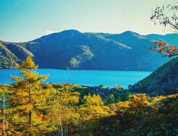 Obraz 黄葉するカラマツと中禅寺湖
