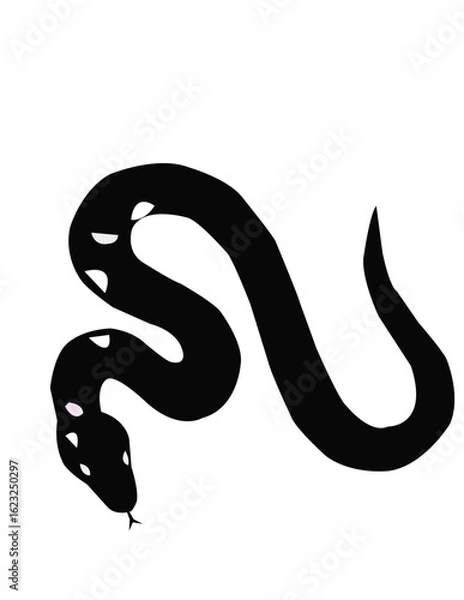 Obraz black and white snake
