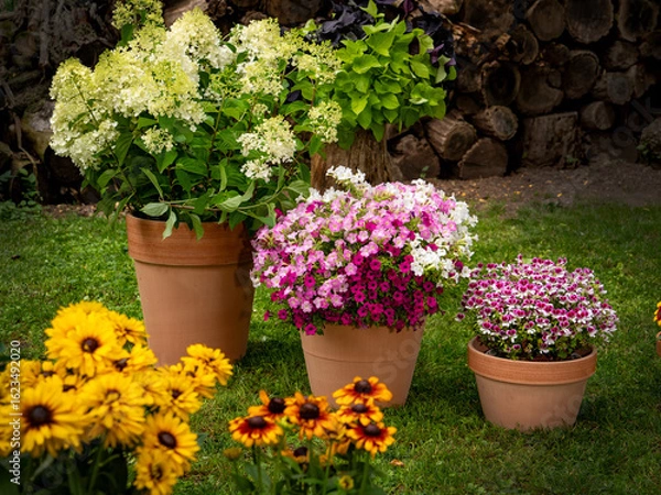 Obraz flowers in pot