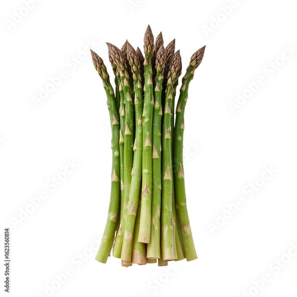 Fototapeta Fresh green asparagus stalks arranged in a bunch isolated on transparent background