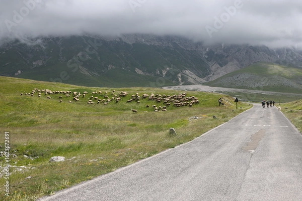 Obraz road in the mountains
