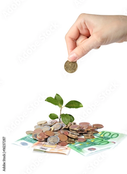 Fototapeta Plant hand and money.