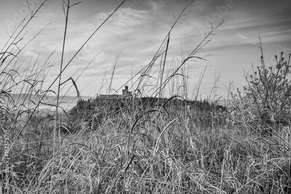 Fototapeta Beautiful view