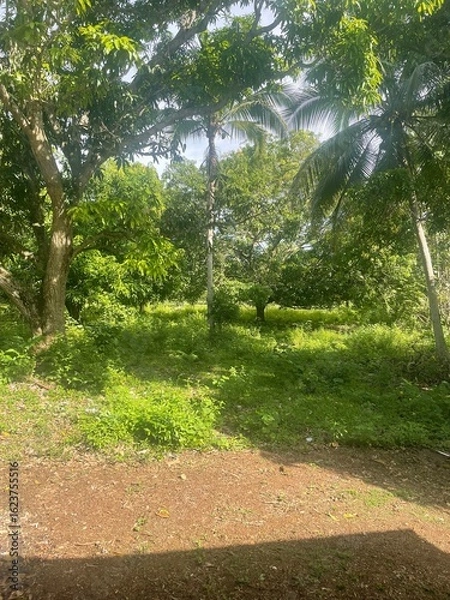 Obraz path in the park