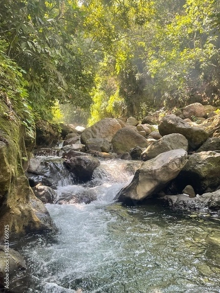 Obraz Clear mountain stream flowing over rocks through a lush tropical forest — a serene nature scene ideal for outdoor and travel content.