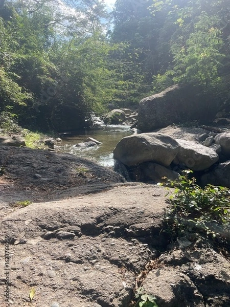 Obraz Shallow forest stream winding through rocks and greenery under soft sunlight — a tranquil nature scene perfect for outdoor and travel themes.