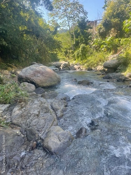Obraz Clear water flowing over rocks in a serene forest stream surrounded by green trees and sunlight.


