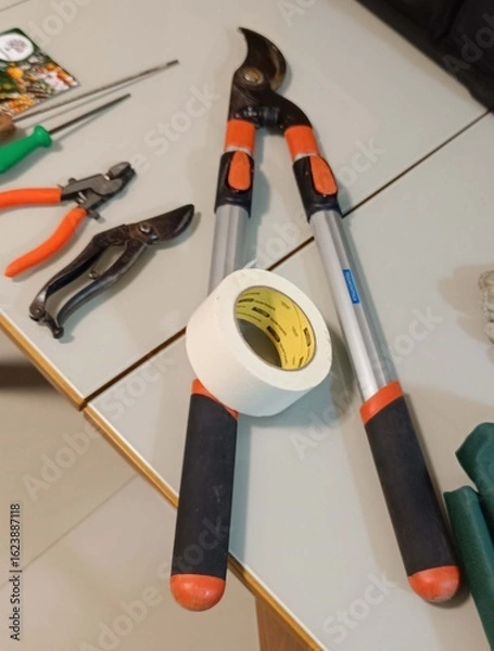 Fototapeta Tipos de ferramentas usadaem podas de arvores frutiferas