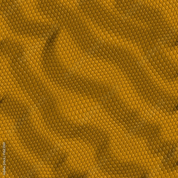 Fototapeta lizard skin background or wallpaper