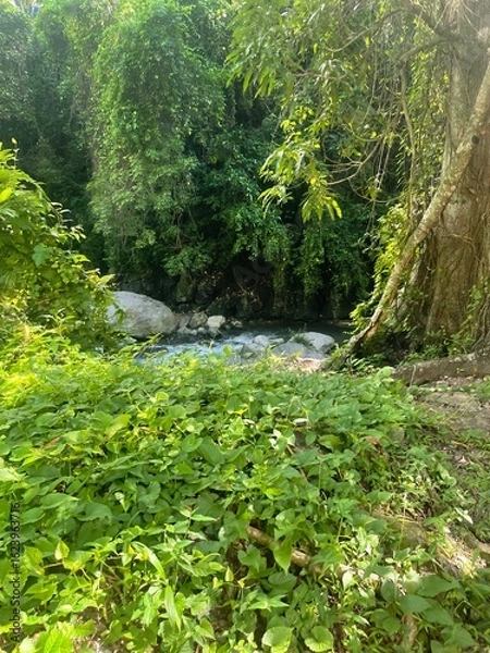 Obraz Lush jungle scene with a flowing river partially hidden behind vibrant green foliage and trees.