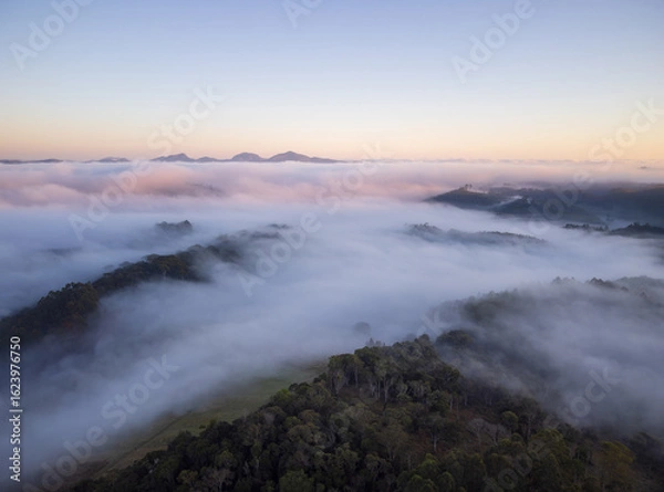 Fototapeta Fog over the mountains and the altantic forest of Espirito Santo, Brasil.