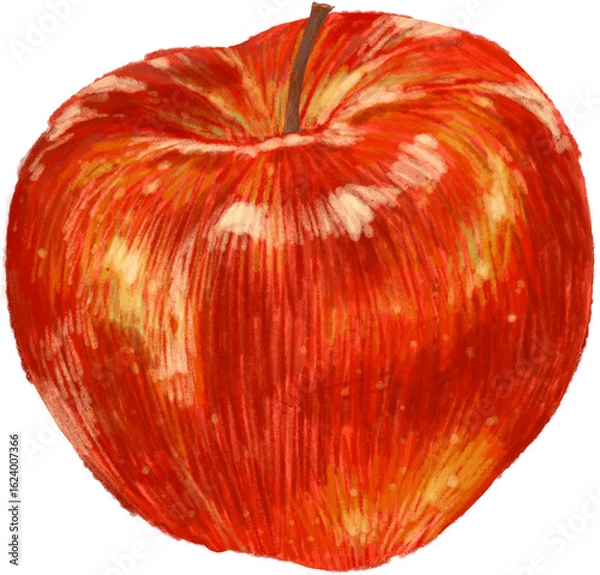 Obraz Red apple fruit color pencil drawing 