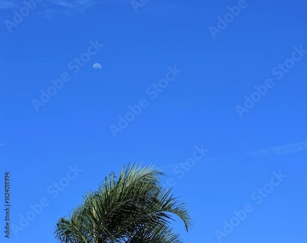 Obraz Céu do Brasil