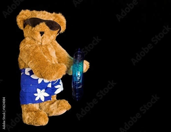 Obraz beach teddy bear