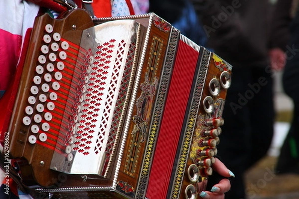 Fototapeta Harmonika