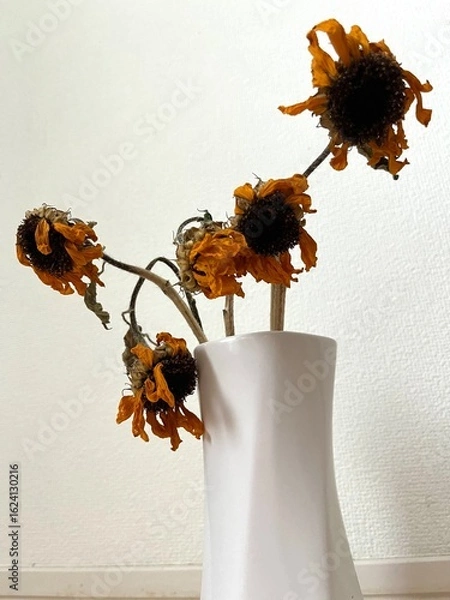 Fototapeta 枯れたひまわり