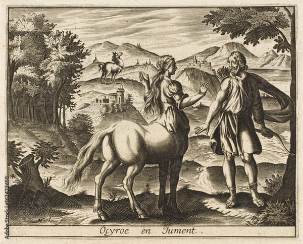 Obraz Ocyrrhoe - Mare