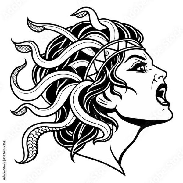 Fototapeta Fierce vector illustration of a screaming Gorgon Medusa.