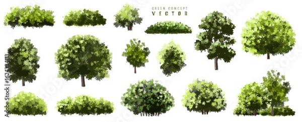 Fototapeta  Vector watercolor green  tree or forest side view isolated on white background for landscape and architecture drawing,elements for environment or and garden,Shrub for section