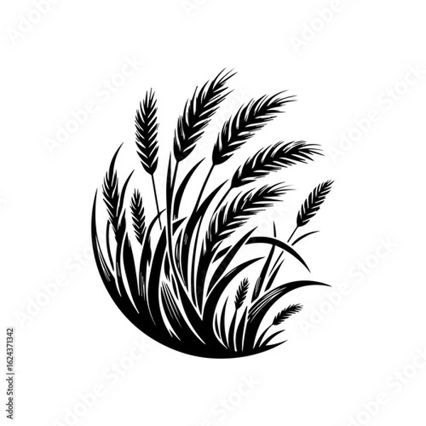 Obraz Black Silhouette of Wheat Stalks in a Field