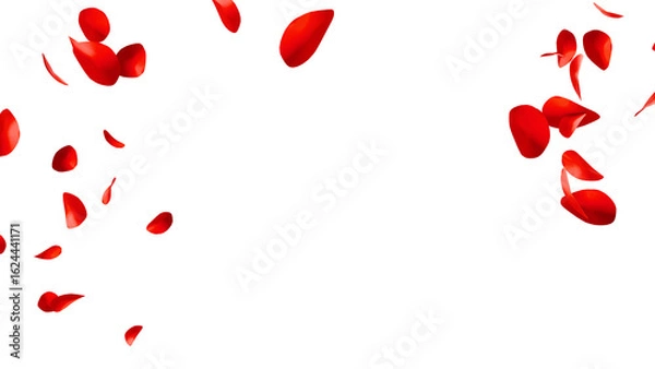 Fototapeta 赤いバラの花びらの乱舞：背景透過