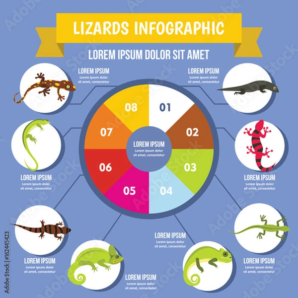 Fototapeta Lizards infographic concept, flat style