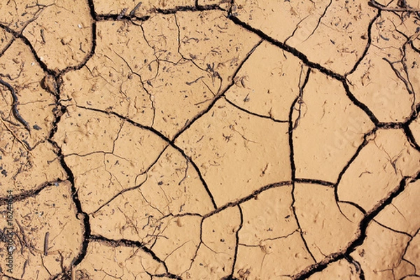 Fototapeta parhed soil