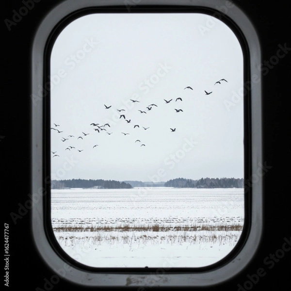 Fototapeta Migrating Birds Over Snowy Fields: Business Growth Symbolism from Russian Train.