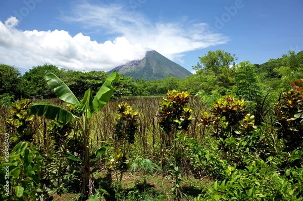 Obraz An amazing view of Volcan Concepcion on Isla Ometepe in Nicaragua