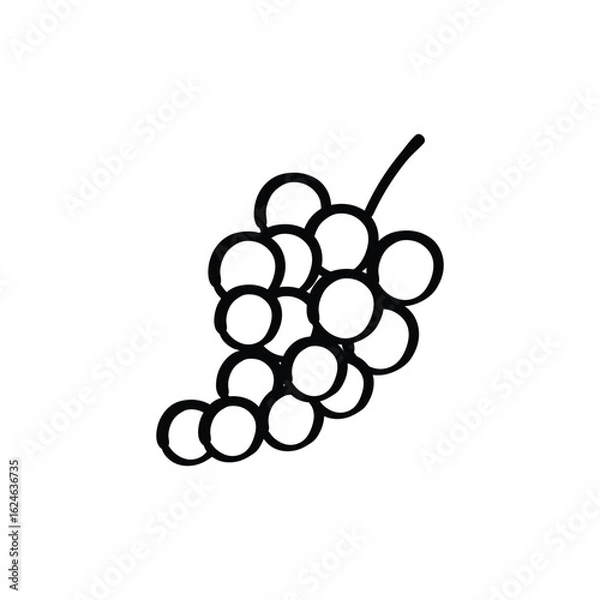 Fototapeta Simple Line Drawing of a Bunch of Grapes.