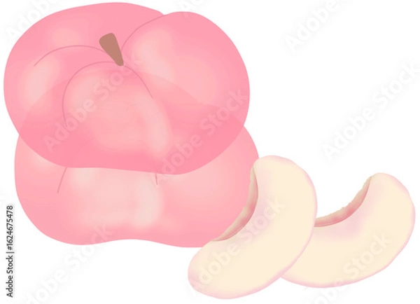 Obraz pink rose petals 복숭아 납작복숭아