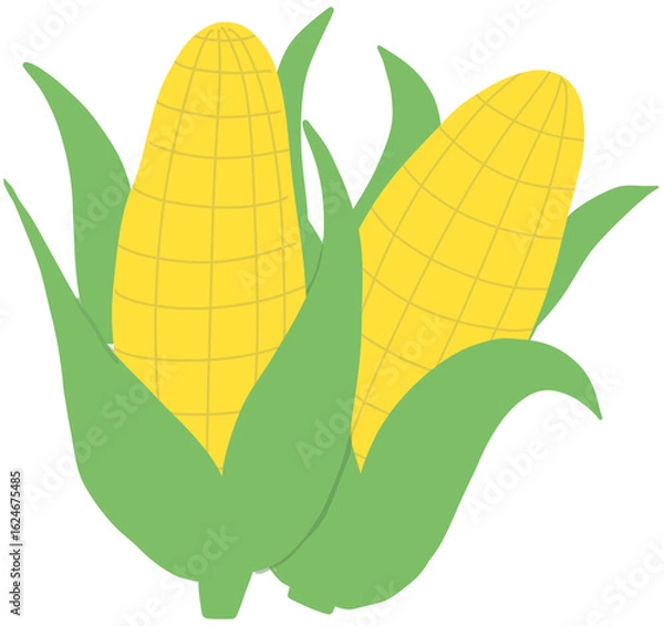 Obraz corn 옥수수 콘