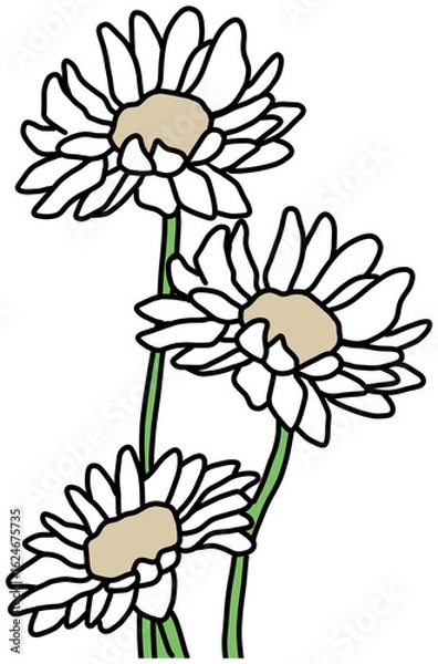 Obraz 꽃 흰꽃  데이지꽃