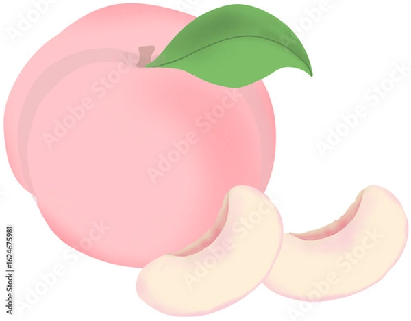 Obraz 복숭아 납작복숭아 과일 여름복숭아 여름과일 