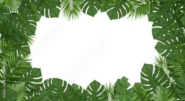 Fototapeta Lush vibrant green tropical foliage, palm fronds and monstera leaves with intricate textures, forming an organic frame on a transparent studio background with copy space, high-end botanical product