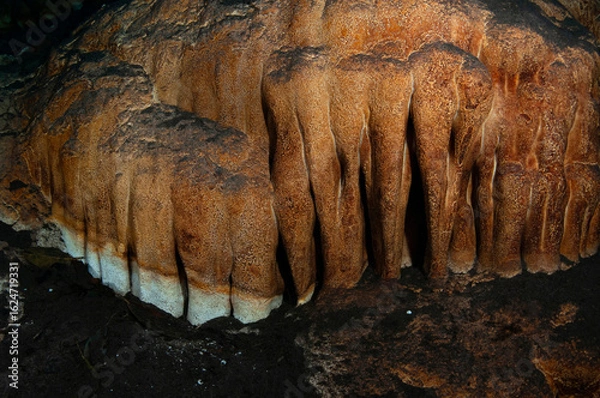 Fototapeta underwater stalagmite