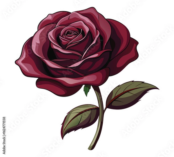 Fototapeta Single red rose flower isolated on white background, a beautiful symbol of love and romance, perfect for nature and valentine's themes
