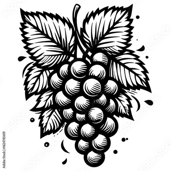 Obraz Black and white vector icon of grape cluster, minimal fruit symbol for wine label, organic food packaging, or restaurant menu design
