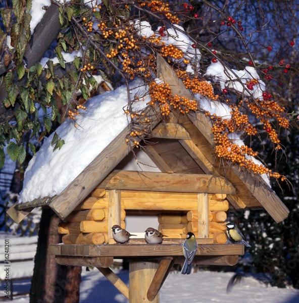 Obraz Vogelhaus_113377