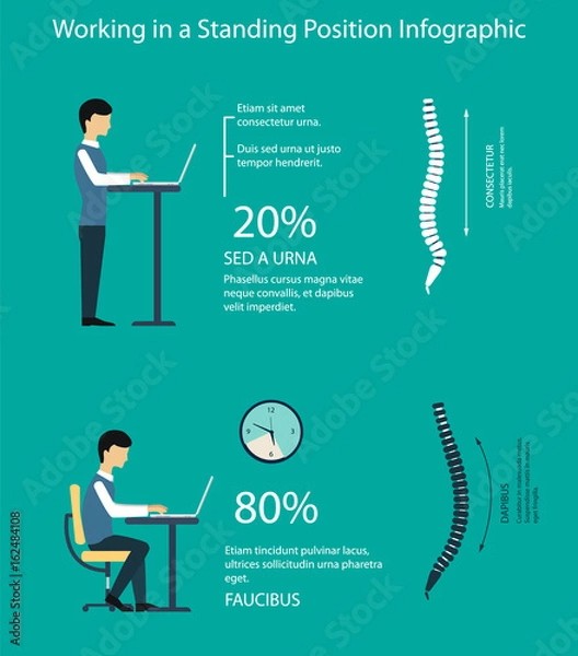 Obraz Work sitting and standing infographic with the illustration of the spine. Benefits of a standing desk