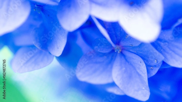 Fototapeta ブルーがいっぱい