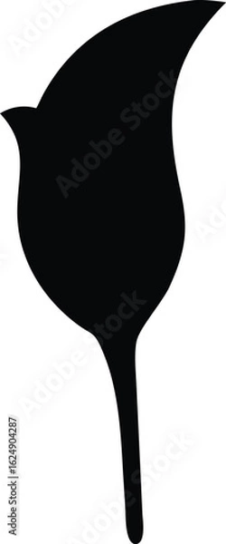 Obraz calla lily flower silhouette