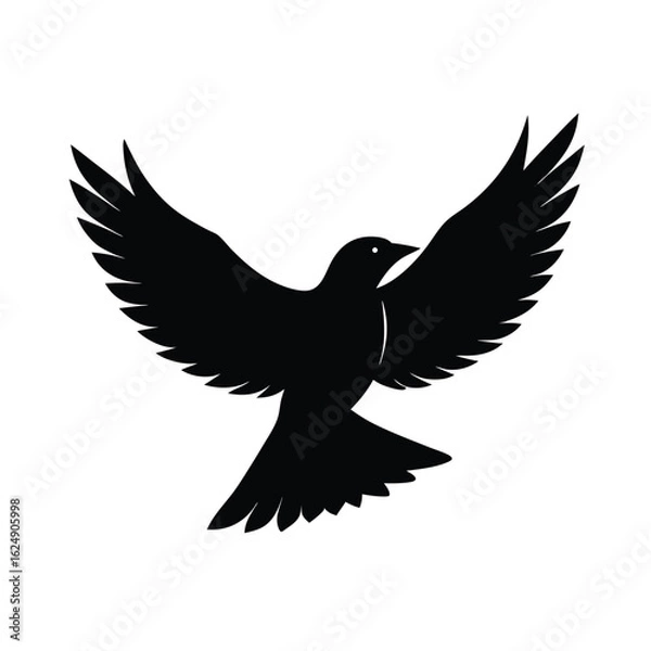 Fototapeta Silhouette of a black bird in flight
