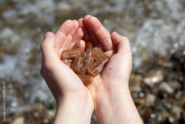 Fototapeta Fossilized belemnites in the palms of a child