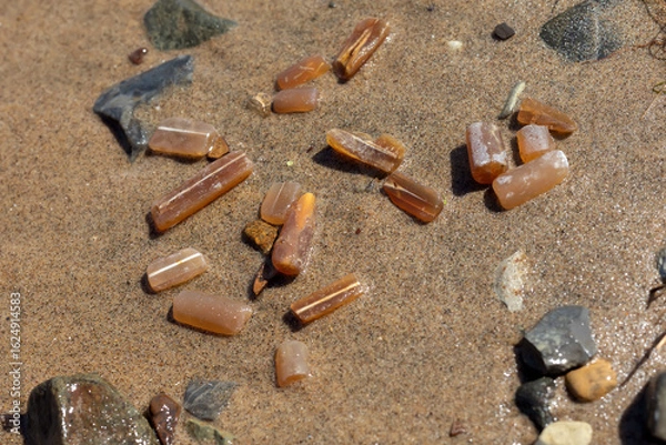 Fototapeta Fossilized remains of belemnites on the sand