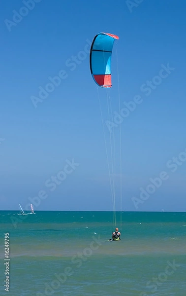 Fototapeta kite