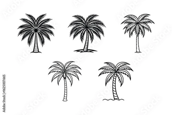 Fototapeta palm tree 